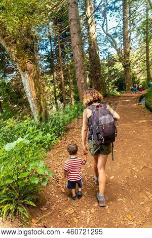 A Mother With Her Son On The Forest Path, Summer In The Levada Do Caldeirao Verde, Queimadas, Madeir