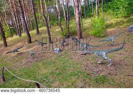 Belgorod, Russia - September 06, 2021: Coelophysis Statues In The Pine Forest Of Belgorod Dinopark. 