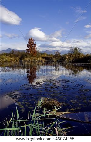 Boat Fall Down Autumn