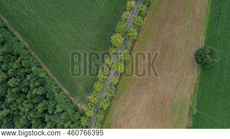 Aerial View Drone Shot Of Fresh Green Field In Spring Near Turnhout By Antwerp, Belgium With Road Be