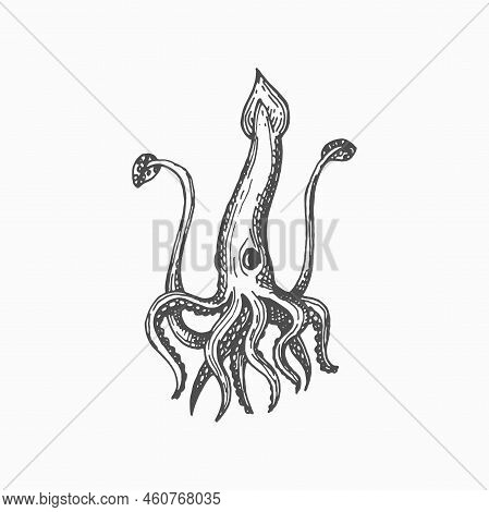 Giant Squid Isolated Marine Animal, Monochrome Sketch Icon. Vector Mollusk, Hand Drawn Hooked Squid 