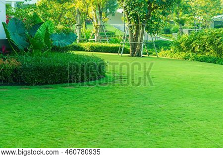 Luxury Modern House With A Beautiful Landscaped Front Yard With Fresh Green Grass Both Shrub And Tre