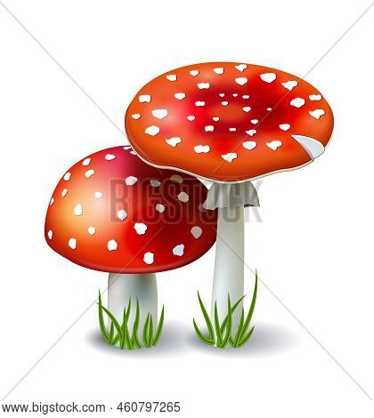 Red Mushroom Amanita With Grass Isolated On White Background