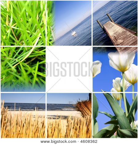Colorful Nature Collage.