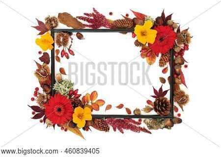 Symbols Of Autumn Season Abstract Background Frame. Nature Concept With Leavers, Flowers, Nuts, Berr