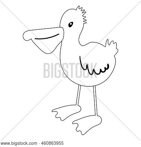 Albatross Coloring Hand Drawn Naive Vector Art