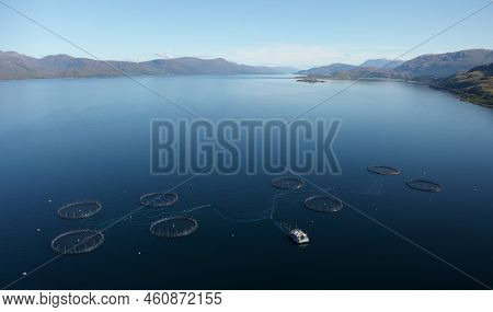 Fish Farm Salmon Round Nets In Natural Environment Loch Fyne Arygll And Bute Scotland