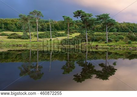 Peaceful Calm Lake Reflection Of Trees On Island At Sunset In Kilmacolm