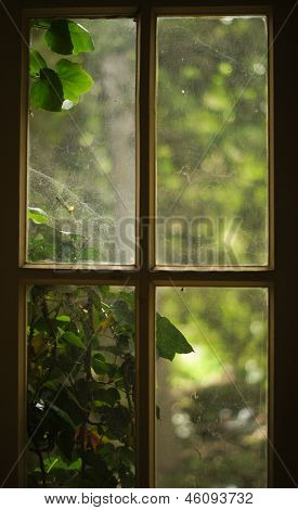 Old Window