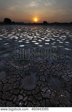 Idyllic Landscape Of Dried Fish Pond In Hong Kong