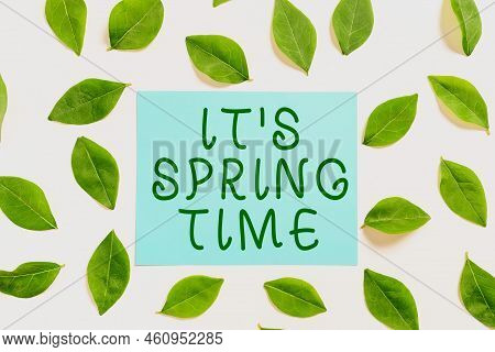 Inspiration Showing Sign It S Is Spring Timeseason After Winter Bloosoming Of Flowers Transformation