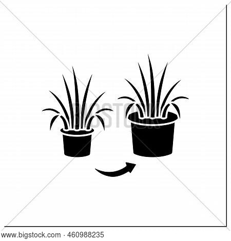 Repot Glyph Icon. Transplant Overgrown Plant To Big Pot. Home Gardening. Houseplant Care Concept. Fi