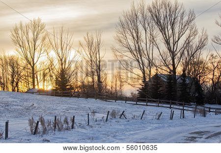 Winter sunrise over farmyard