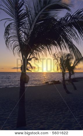 Gün batımı - Bayahibe - Dominik Cumhuriyeti