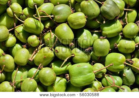 Berries Of Far-east