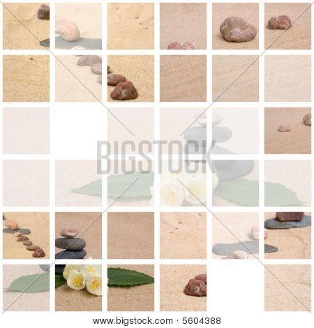 ภาพตัดปะของจัสมินและหินบนทราย