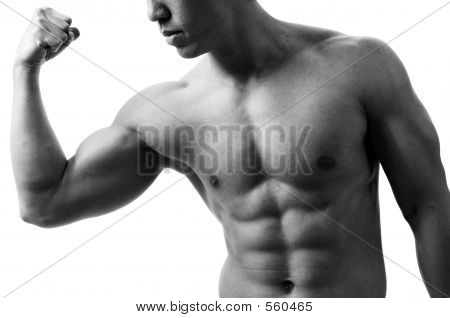Bicep Curl