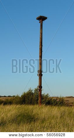 Bird Nest Platform