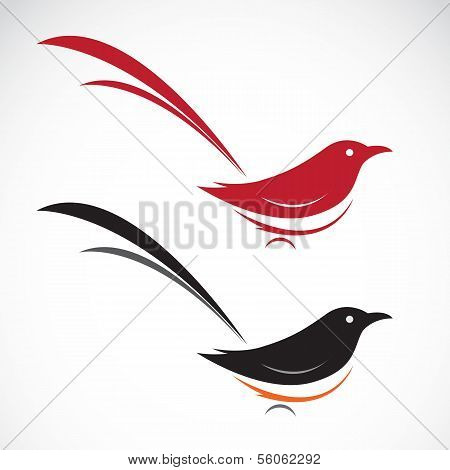 Vector Image Of An Magpie
