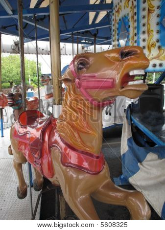 Cavallo vicino fino a un Merry Go Round.