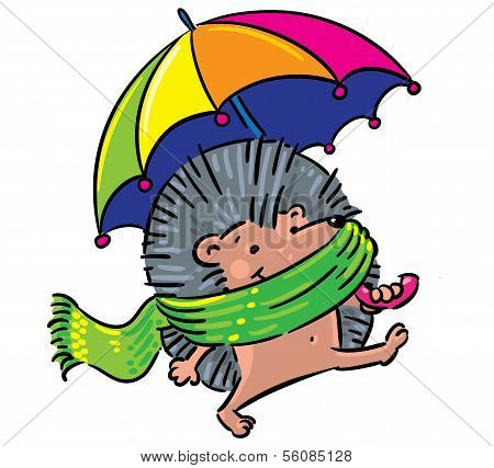 Igel gehen im Regen.
