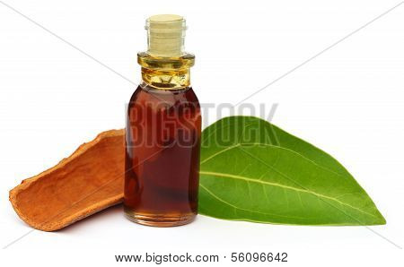 Cinnamon Leaf With Bark And Essential Oil