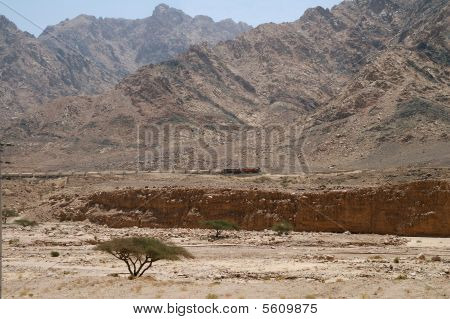 Treno deserto