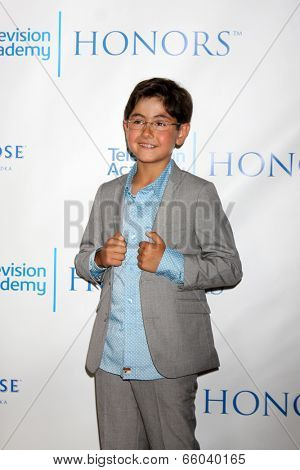 LOS ANGELES - JUN 1:  Blake Garrett Rosenthal at the 7th Annual Television Academy Honors at SLS Hotel on June 1, 2014 in Los Angeles, CA