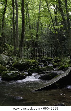 Peaceful morning in Smoky Mountains
