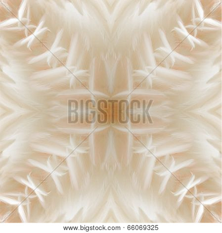 Seamless Pattern