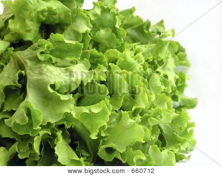 Salat 