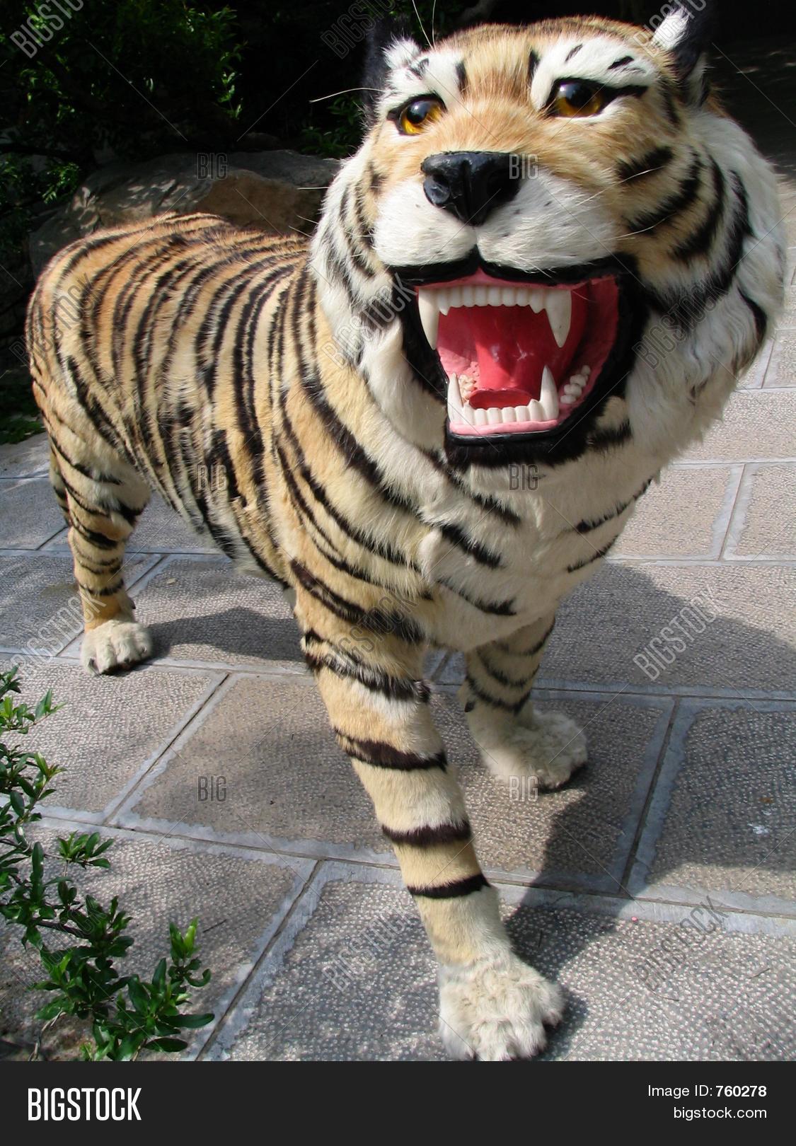 Fake Animals Image & Photo Bigstock