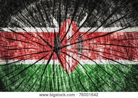 Flag Of Kenya