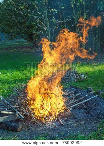 Burning Fire