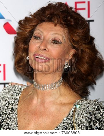 LOS ANGELES - NOV 12:  Sophia Loren at the A Special Tribute to Sophia Loren at AFI Film Festival at the Dolby Theater on November 12, 2014 in Los Angeles, CA