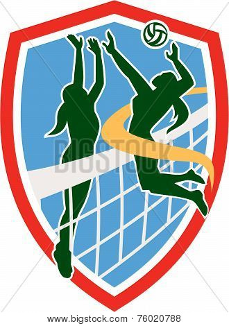 Volleyball Player Spiking Ball Blocking Shield