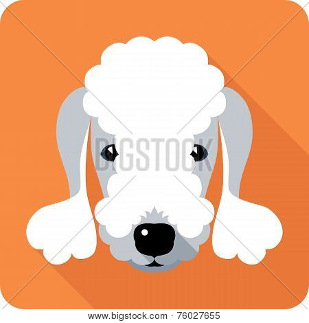 Dog Icon Flat Design