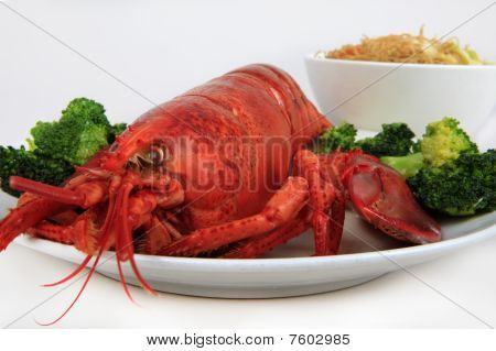 cozido maine lobster