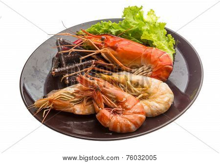 Giant Freshwater Prawn And King Prawns
