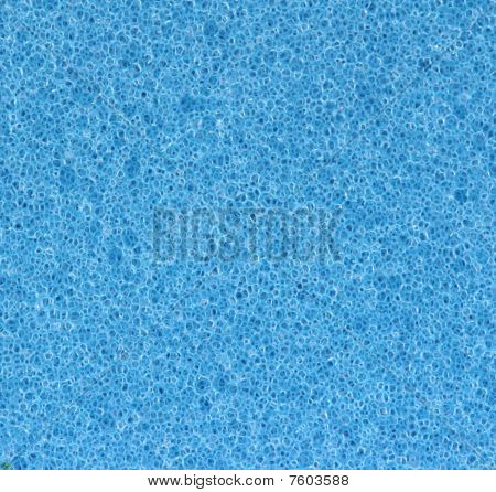blau Schwamm Poren detail