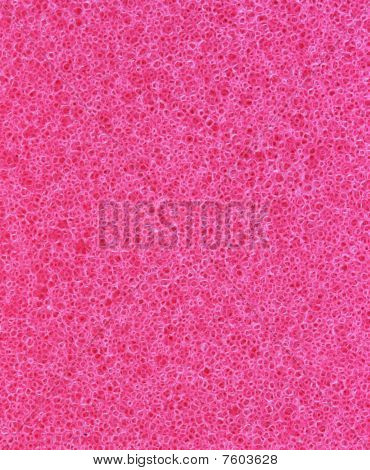 Red Sponge Poren detail
