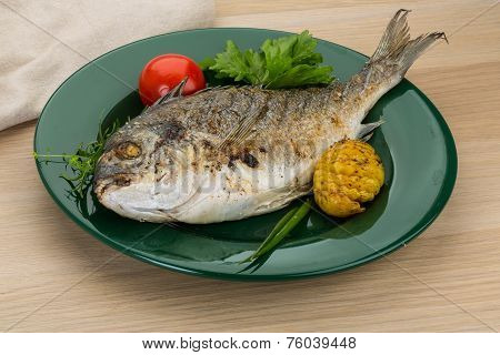 Grilled Dourado