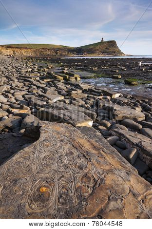Fossil Hunting On The Dorset Coastline