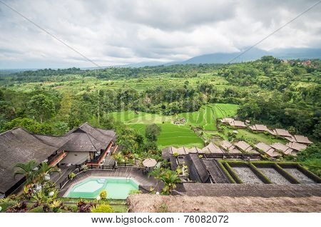 Rice Terrace
