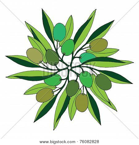 Green olive illustration on white