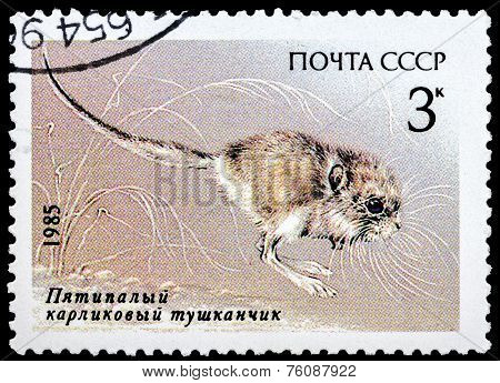 Post Stamp From Soviet Union