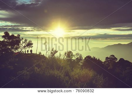 Java  landscapes