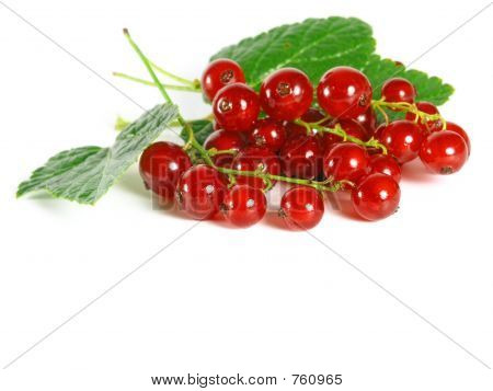 ผลไม้ฤดูร้อน: Redcurrant
