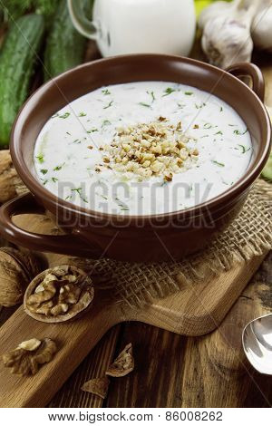 Tarator, Bulgarian Sour Milk Soup