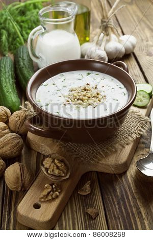 Tarator, Bulgarian Sour Milk Soup